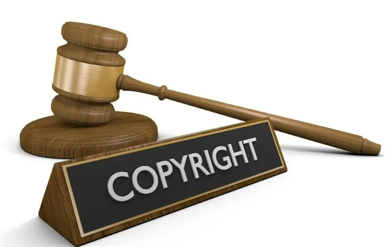 内蒙古自治区2025年全年著作权登记情况