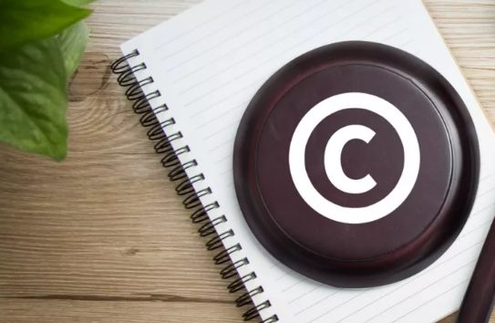 “邻接权兜底保护”路径之反思