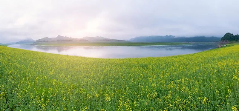 日本地理标志保护制度综述