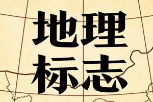 特某茶餐饮管理(上海)有限公司与上海浦东知识产权局、上海浦东人民政府等罚款及行政复议案